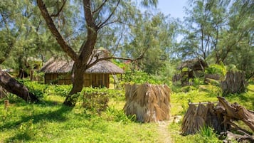 Khuôn viên nơi lưu trú