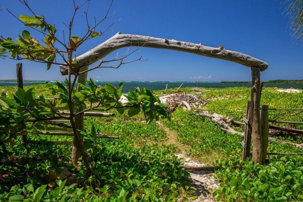 Un arco de madera que da a una playa con abundante vegetación y un cielo azul despejado.