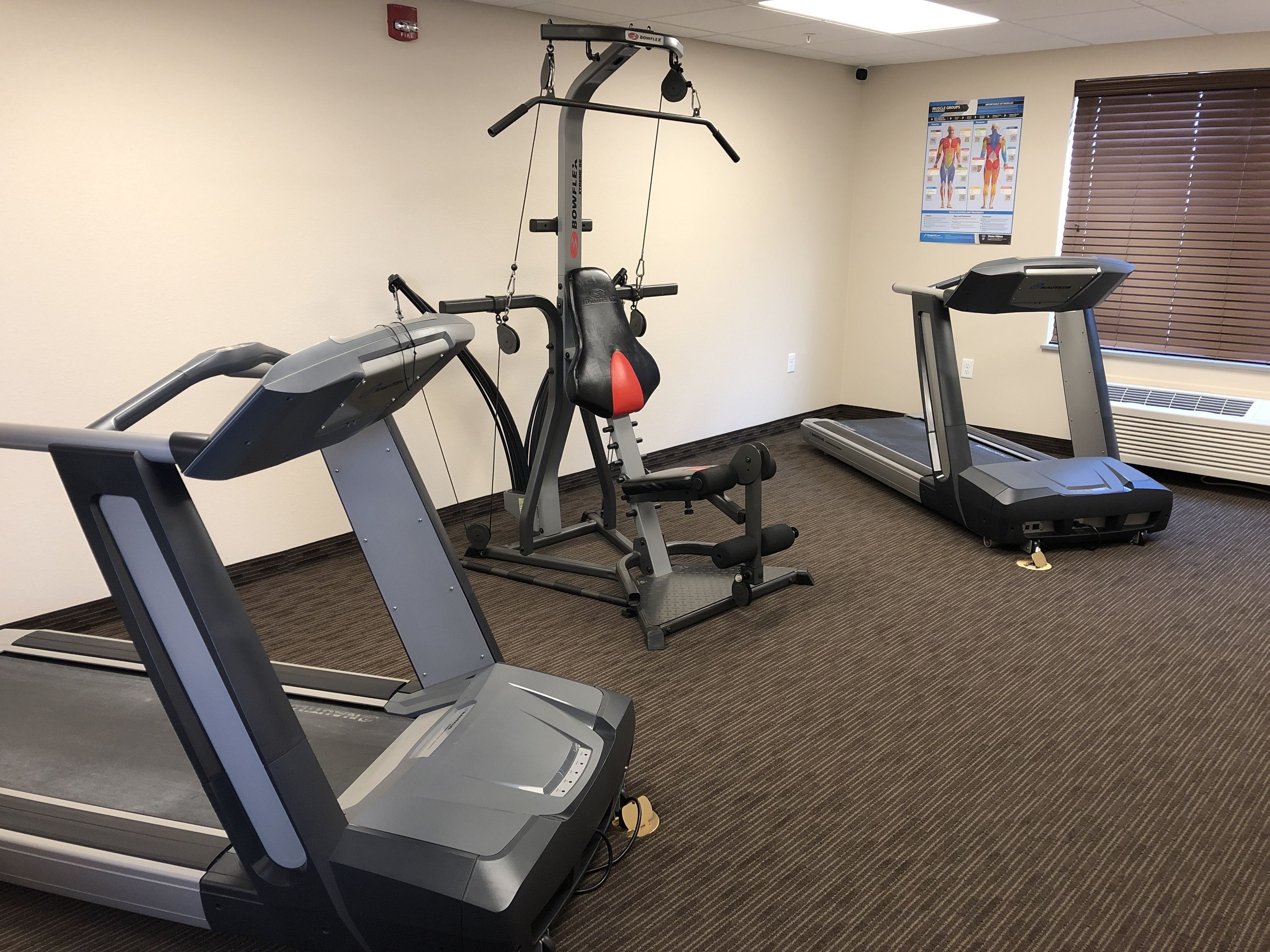 A gym with treadmills, a weight machine, and a poster on the wall.