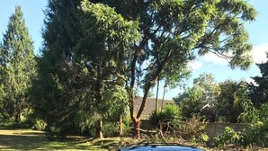 Exterior - Luxurious Holiday Home (Harare)
