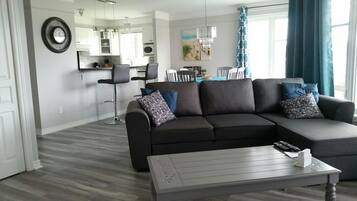 TV connectée, cheminée, lecteur de DVD