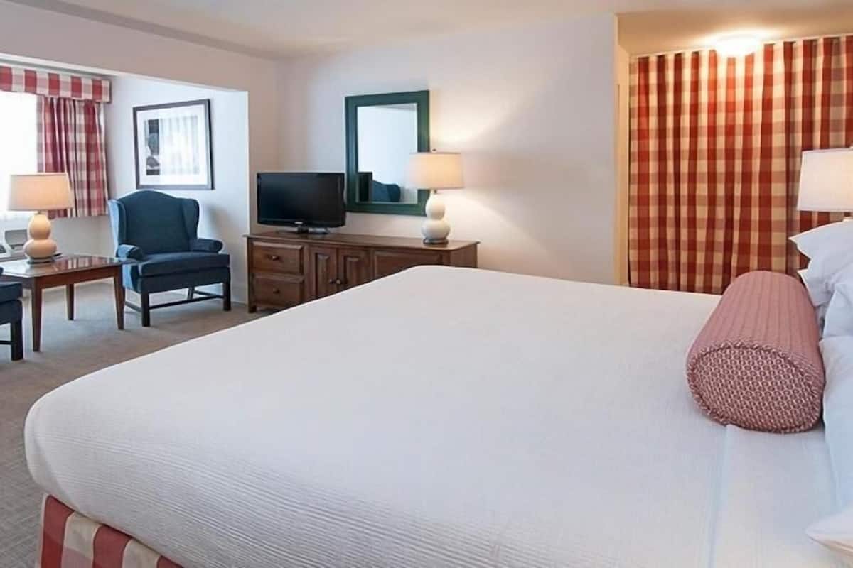 Palmer Inn Standard King | 1 camera, con stile personalizzato, con arredamento individuale