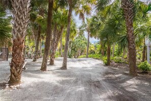 Property grounds - 528 - Coral Cottage (Captiva)