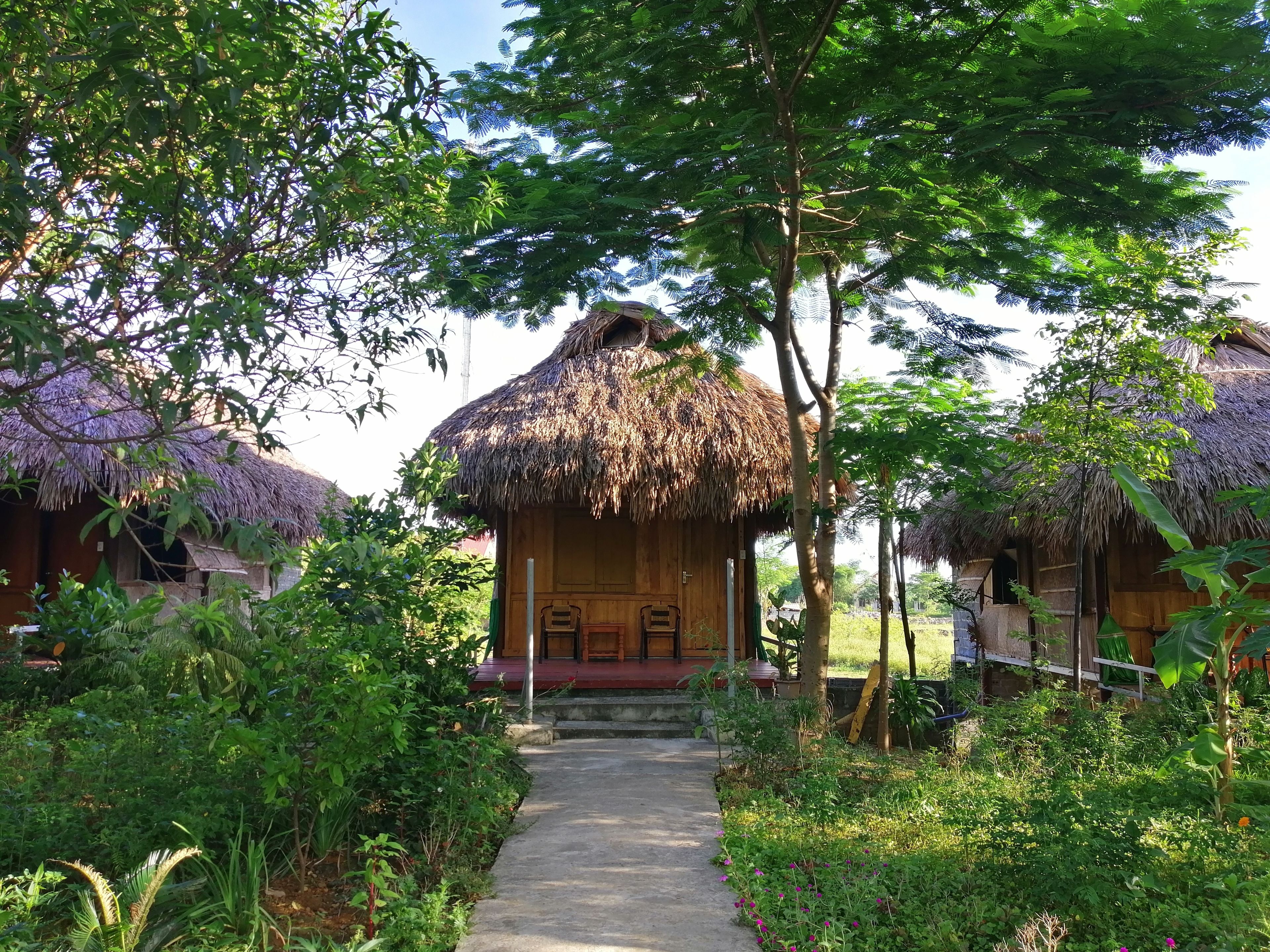 Standard Bungalow, 1 King Bed | Free WiFi, bed sheets