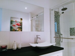 Shower, hair dryer, towels, toilet paper