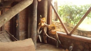 Interior detail - Alquimia chalés (Lima Duarte)
