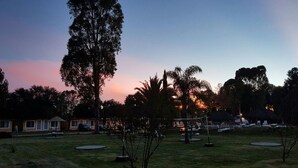 Un parque con un árbol grande, zonas verdes abiertas y un edificio al fondo.