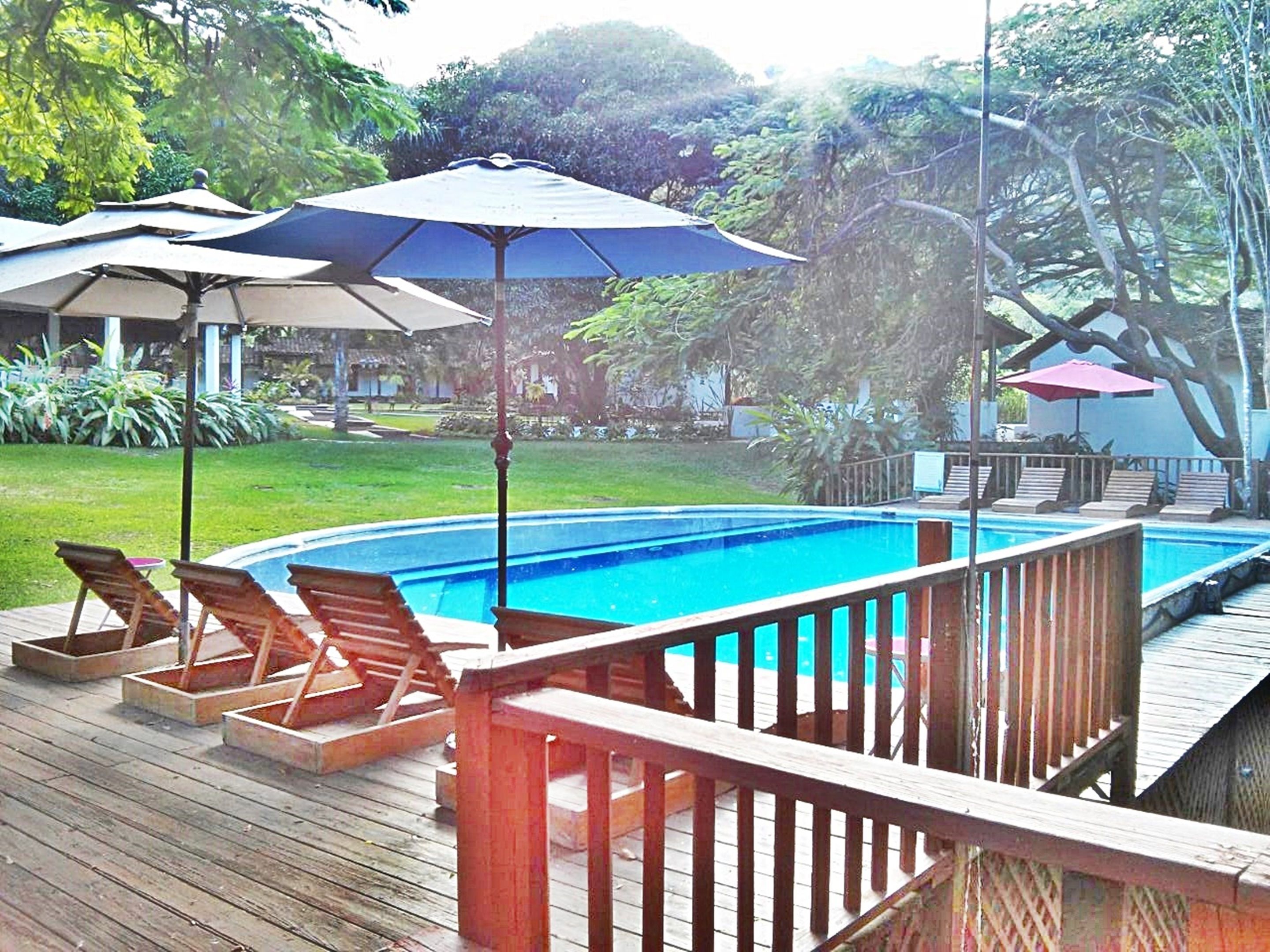 室外游泳池，池畔遮阳伞，日光浴躺椅