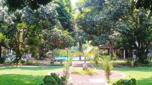 A garden with a central pathway, surrounded by lush greenery and trees.