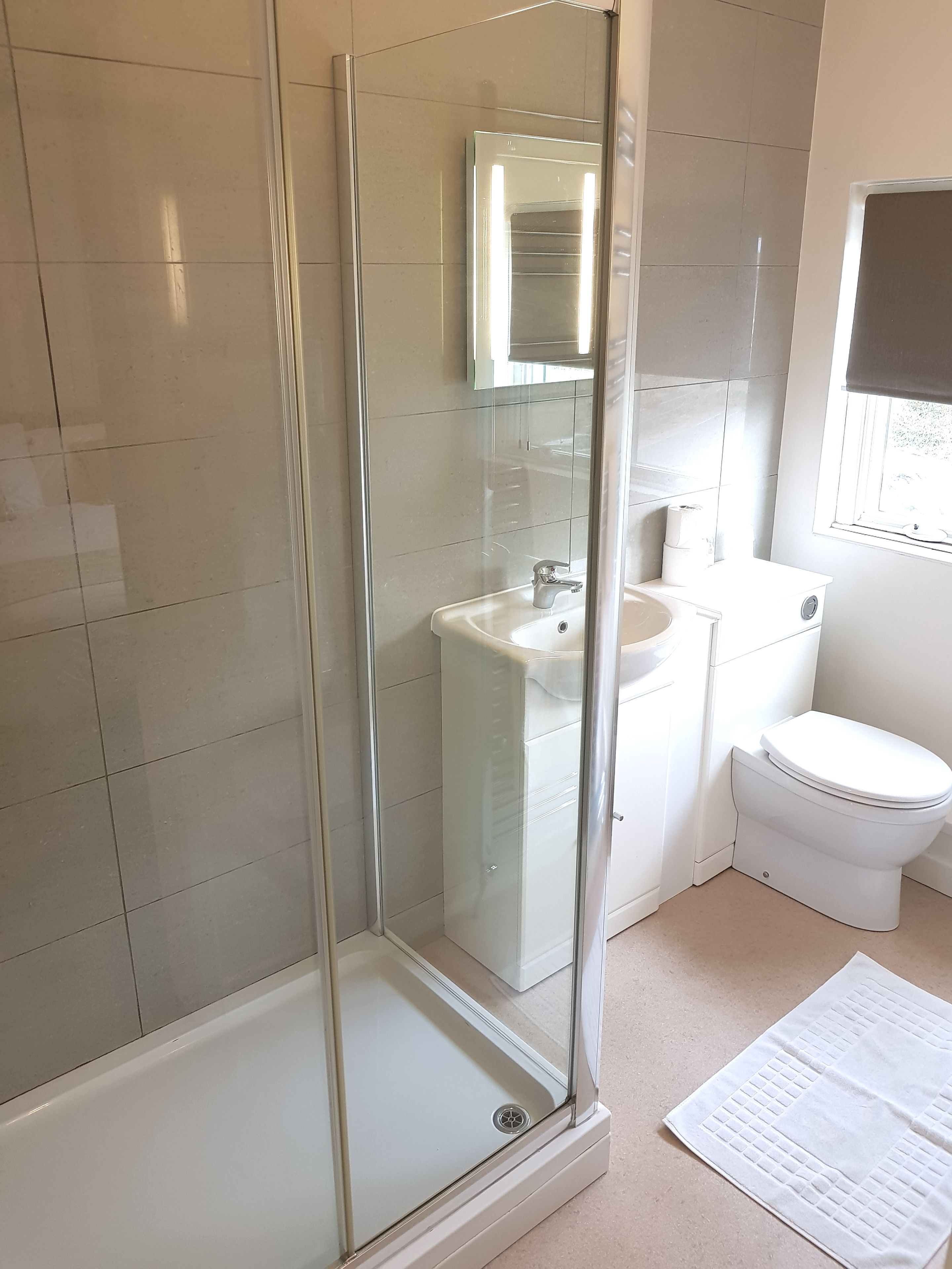 A bathroom with a glass-enclosed shower, a sink, and a toilet.