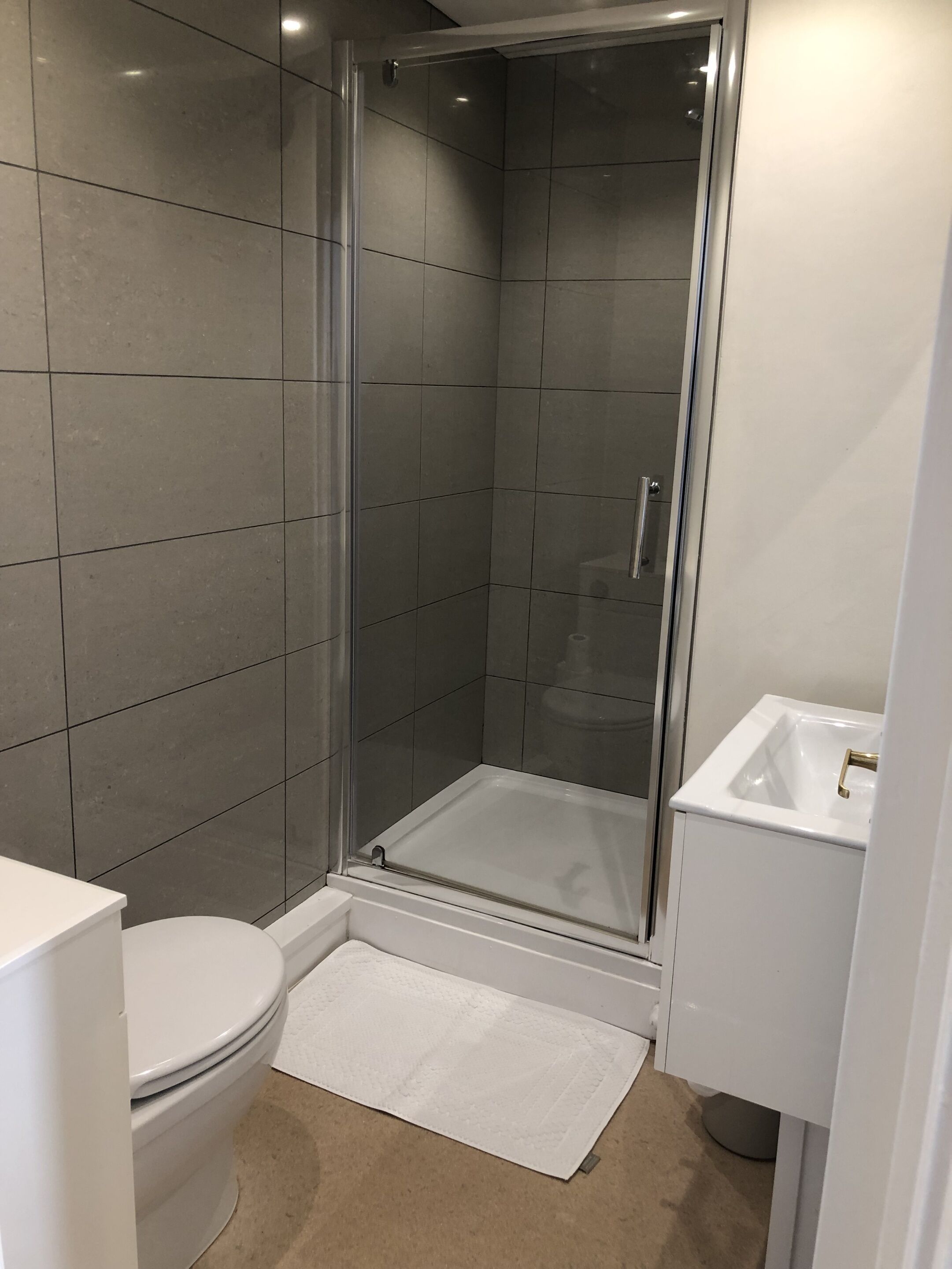 A modern bathroom with a glass-enclosed shower, a white toilet, and a sink.