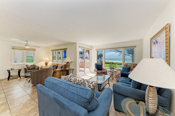 TV, DVD player, books, video library