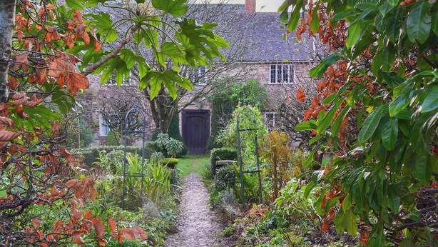 A garden pathway leading to a stone house with a traditional design, surrounded by lush greenery and autumn foliage. - The Old Priory Cottage (Dunster, near Minehead)