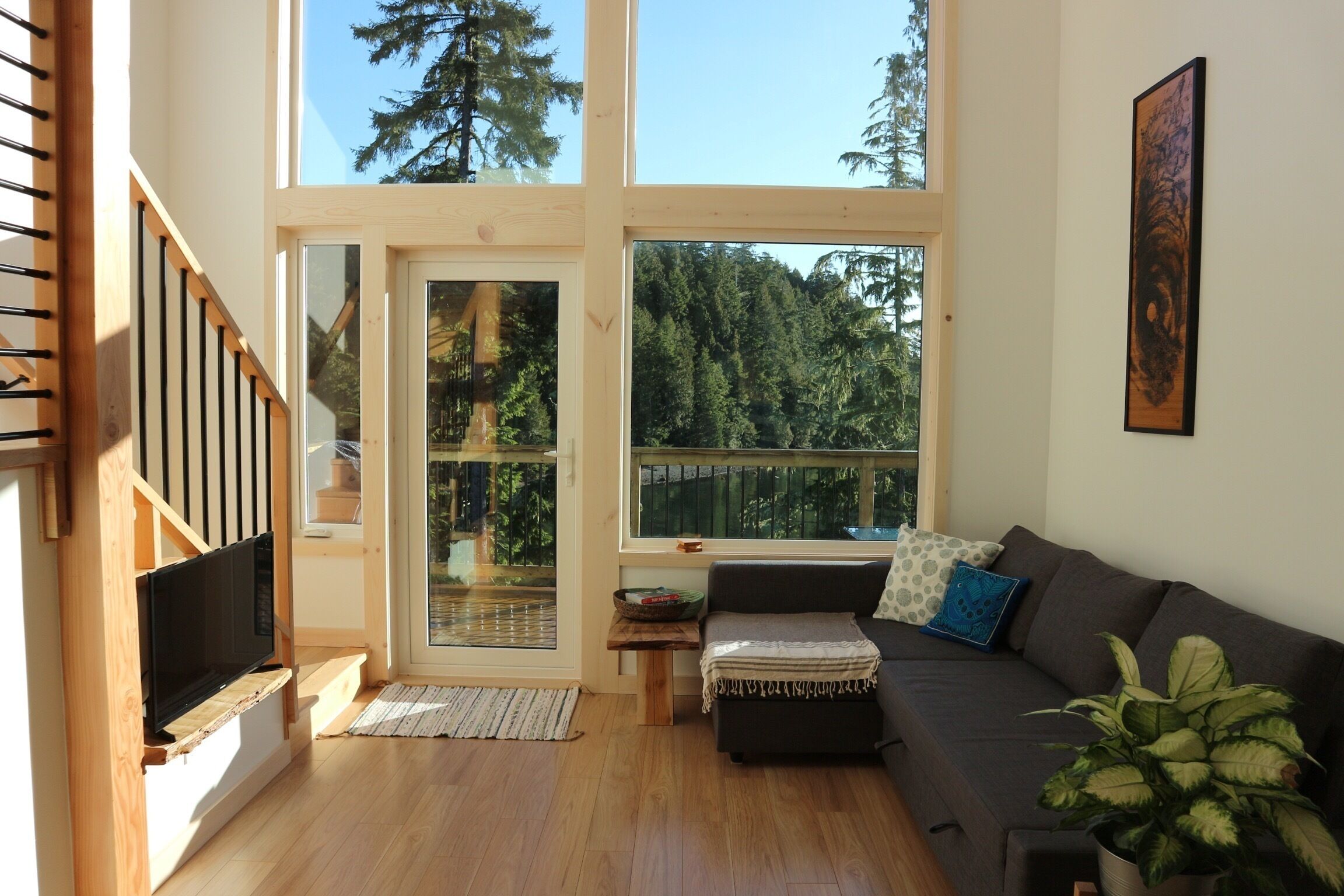 TV connectée, livres