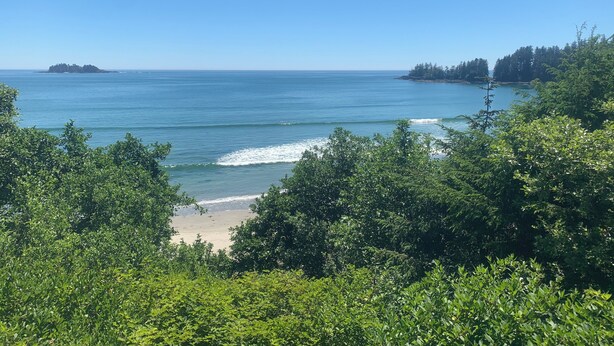 Une plage avec une eau d’un bleu limpide, un rivage sablonneux et un feuillage verdoyant et dense au premier plan.