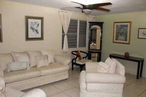 Smart TV - Solar Powered Home 10 minutes drive to the beach and SJU airport!  (Carolina)