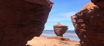 Family Wellness Space on 4 acres