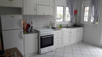 Basic Apartment, 1 Bedroom | Private kitchen | Fridge, oven, stovetop, coffee/tea maker
