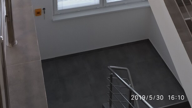 Un interno moderno con una scala, ringhiere in metallo e piante in vaso.