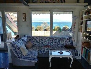 Televisión, reproductor de DVD, libros, estéreo