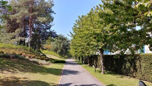 Ein gepflasterter Weg, gesäumt von Bäumen und einer Hecke, führt zu einem Gebäude mit einer blauen Tür.