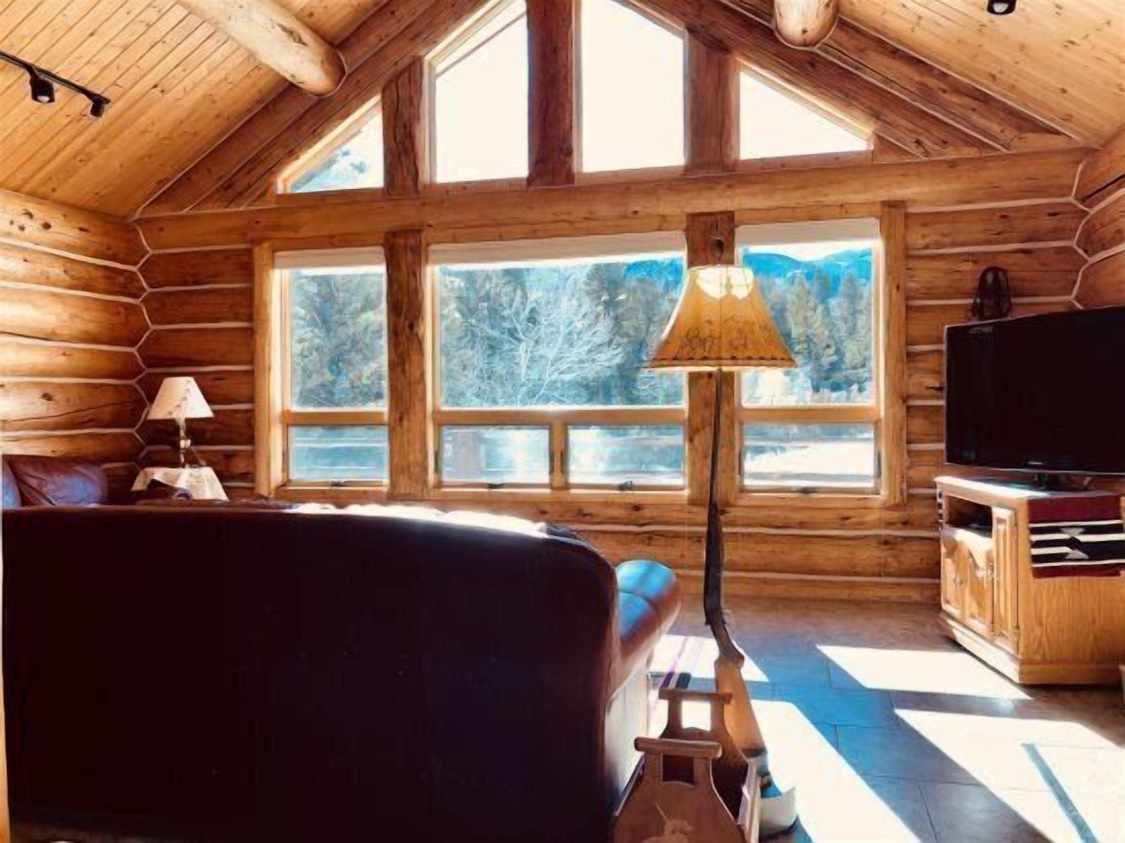 Televisión y libros 