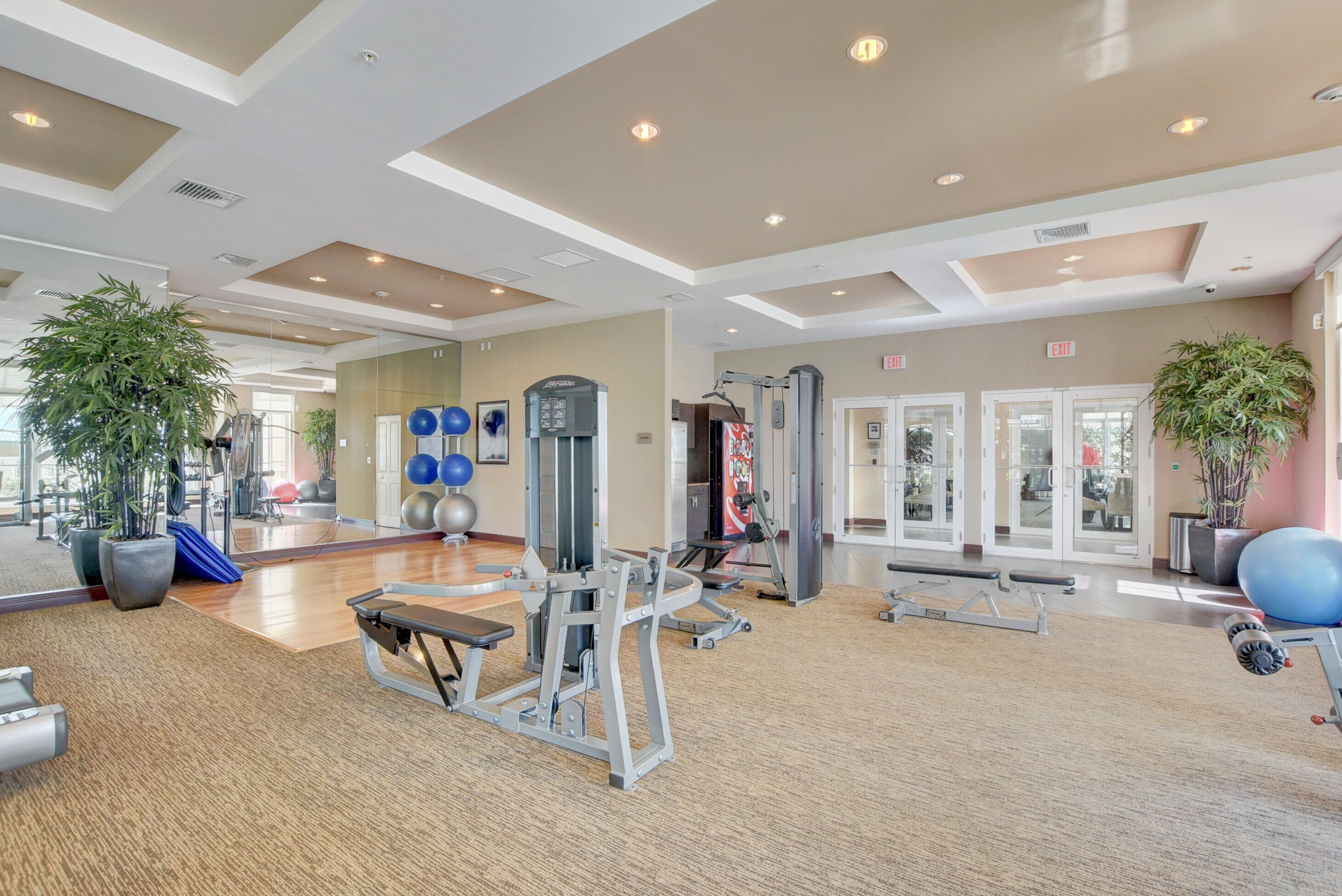 A spacious gym with various exercise equipment, large windows, and potted plants.