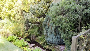 A garden with a variety of plants and a small stream.