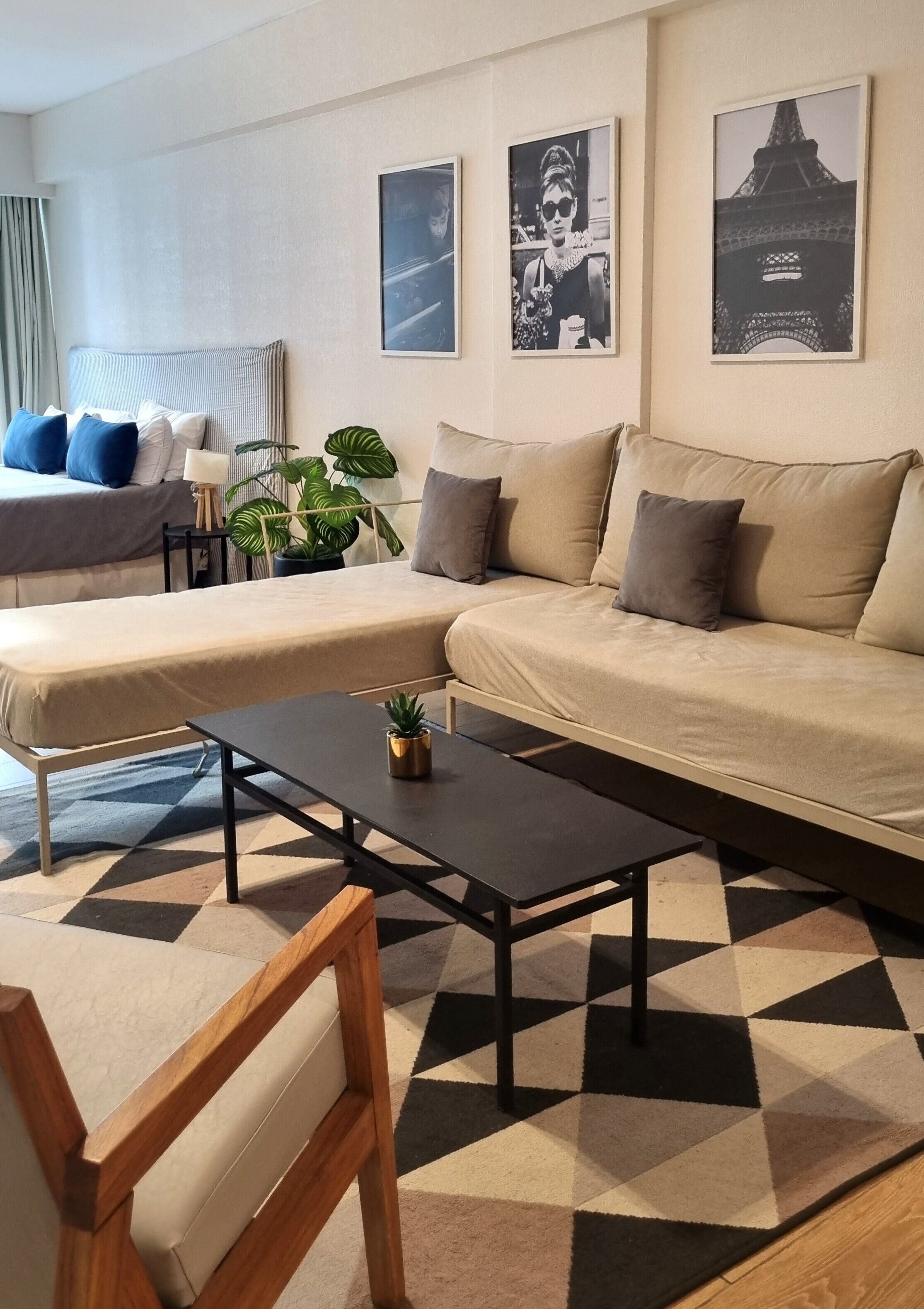A modern living room with a sofa, a coffee table, and a chair. There are two framed pictures on the wall, a plant, and a window with curtains.