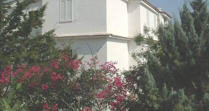 Apartment no. 2 in Villa Daniel, surrounded by greenery in VIESTE Gargano in P.