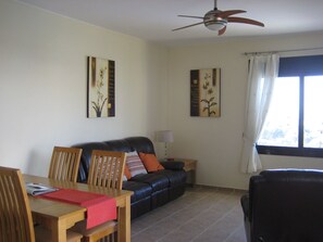TV, DVD player, books, video library