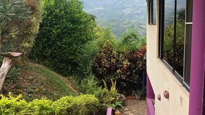 Un bâtiment qui offre une vue sur un paysage montagneux. Des marches mènent à une fenêtre, et il y a un petit jardin avec différentes plantes.