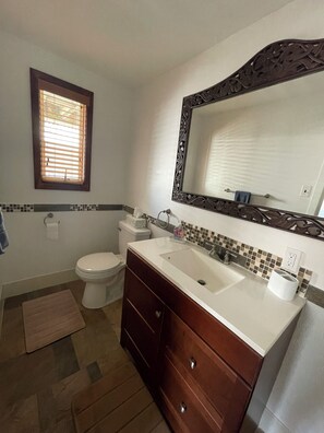 Combined shower/tub, hair dryer