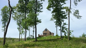 A rustic cabin surrounded by tall trees on a grassy hill.