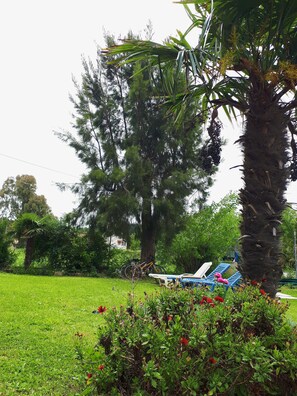 Garden - Antzela Apartments (Corfu)