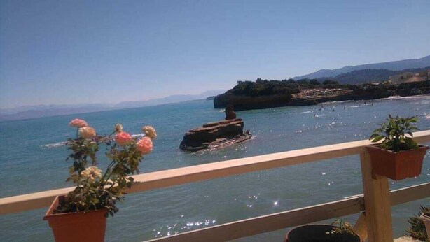 A coastal view with a rocky outcrop in the water, potted plants on a balcony railing, and a clear sky. - Antzela Apartments (Corfu)