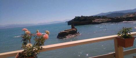 Vista desde la propiedad