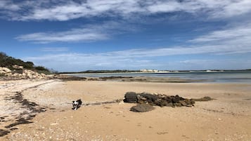 Playa