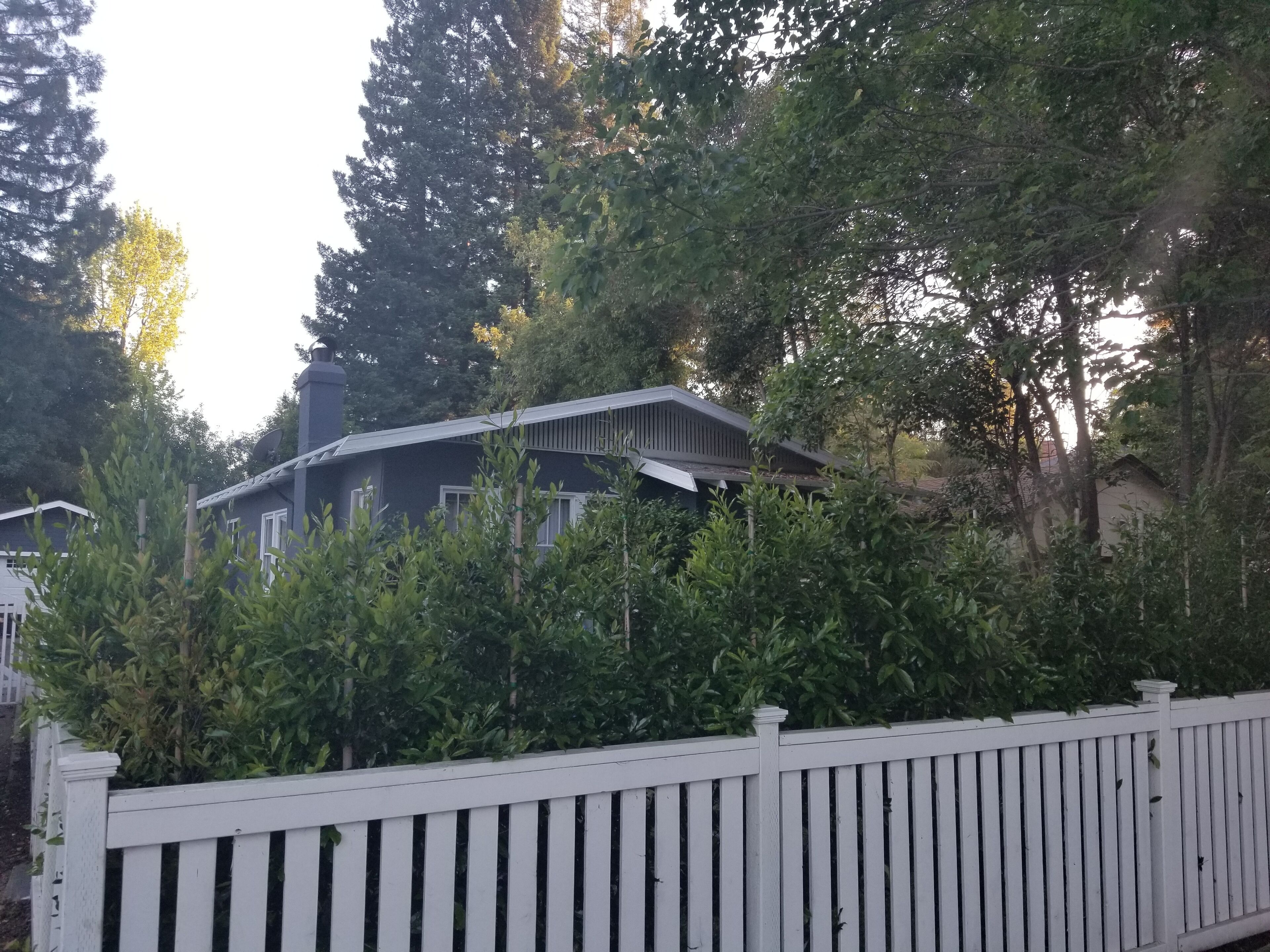 Recently remodeled bungalow home within blocks of downtown  Menlo Park