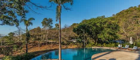 Outdoor pool, pool umbrellas, sun loungers