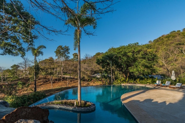Una piscina al aire libre, sombrillas, sillones reclinables de piscina