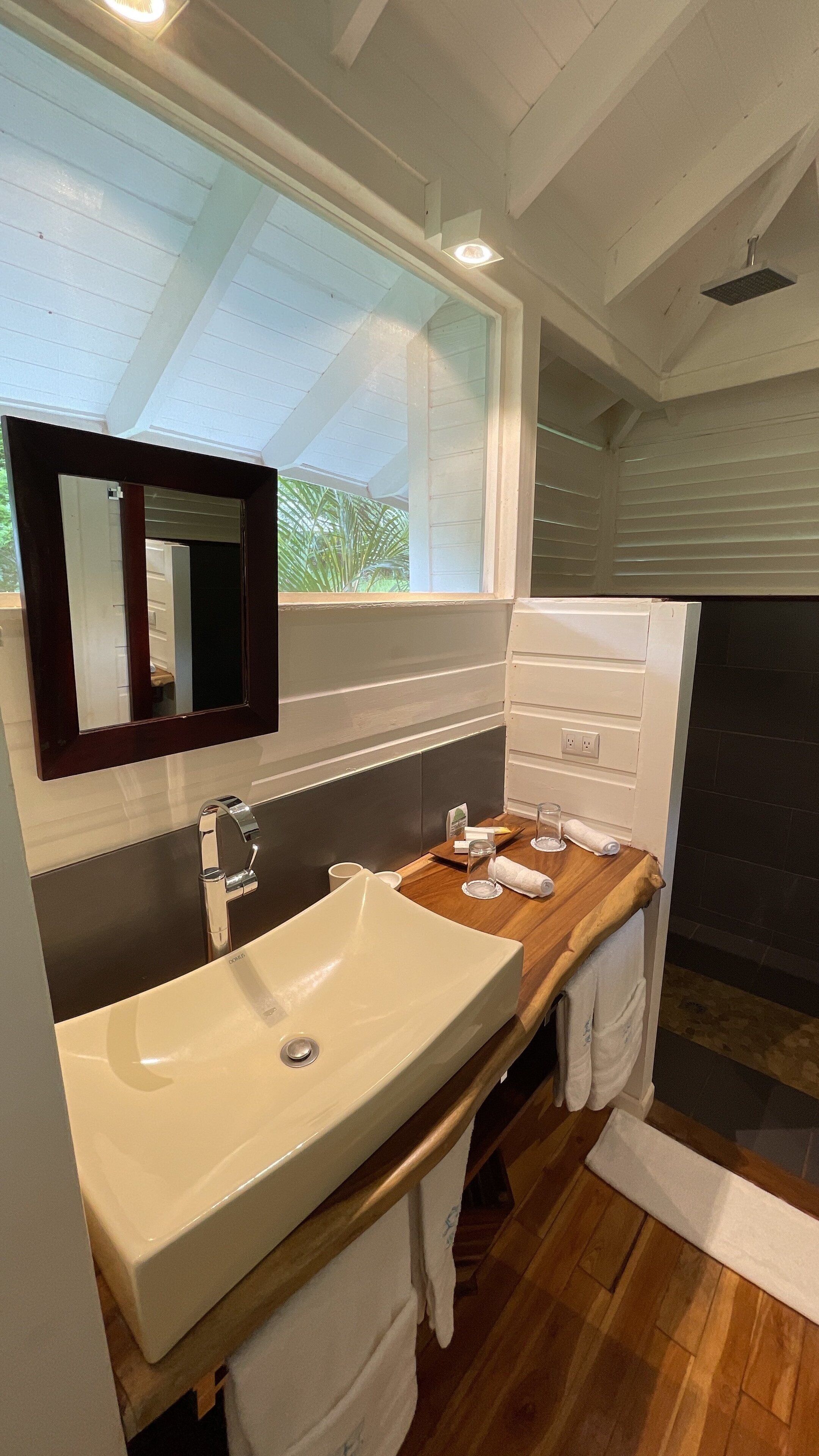 A bathroom with a large sink, a mirror, a shower, and a window.