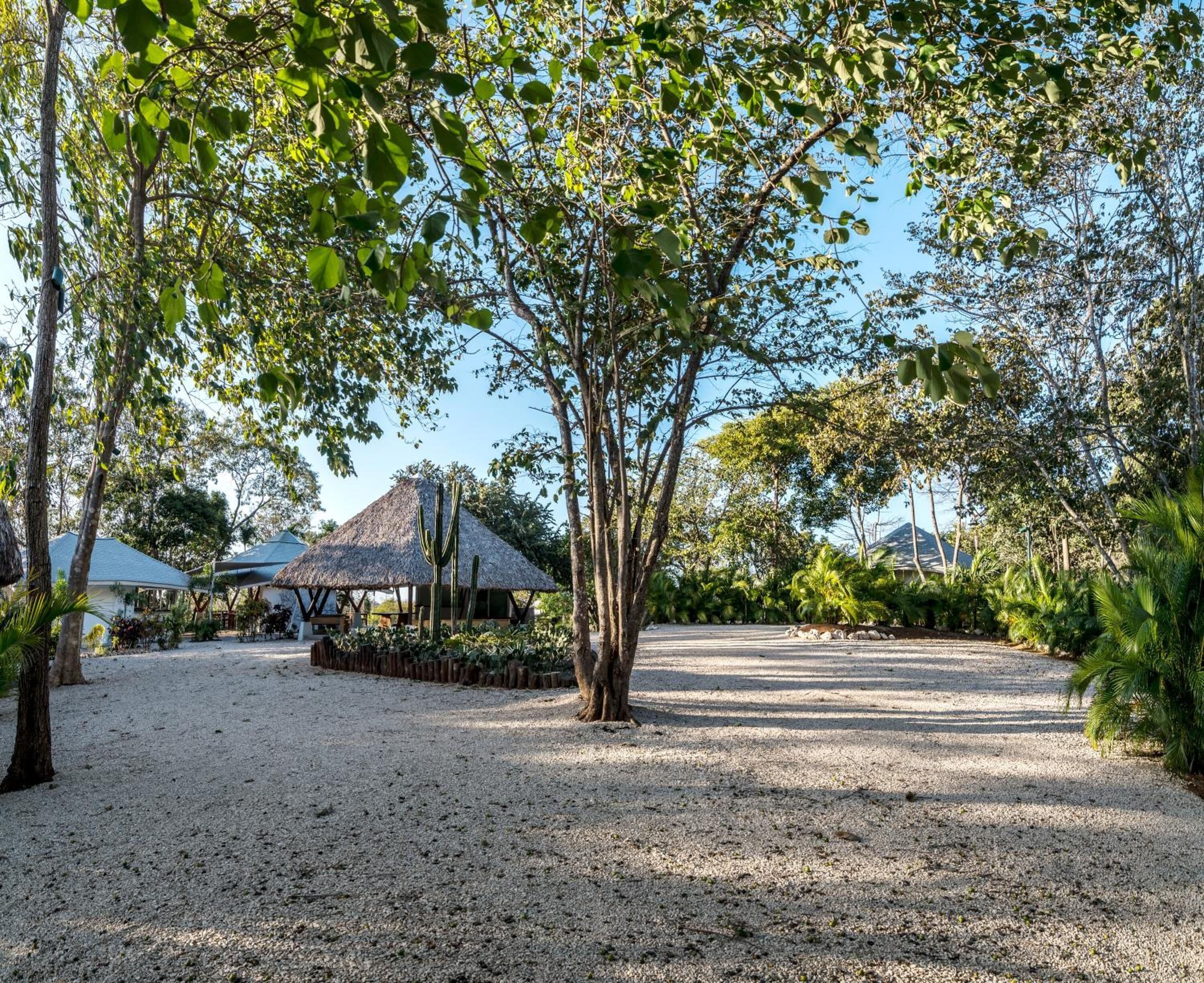 A resort with thatched-roof huts, a gravel pathway, and lush greenery.