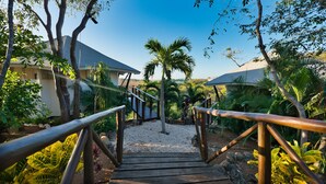 A wooden staircase leading to a building surrounded by tropical vegetation. - Mikado Natural Lodge (Tamarindo)