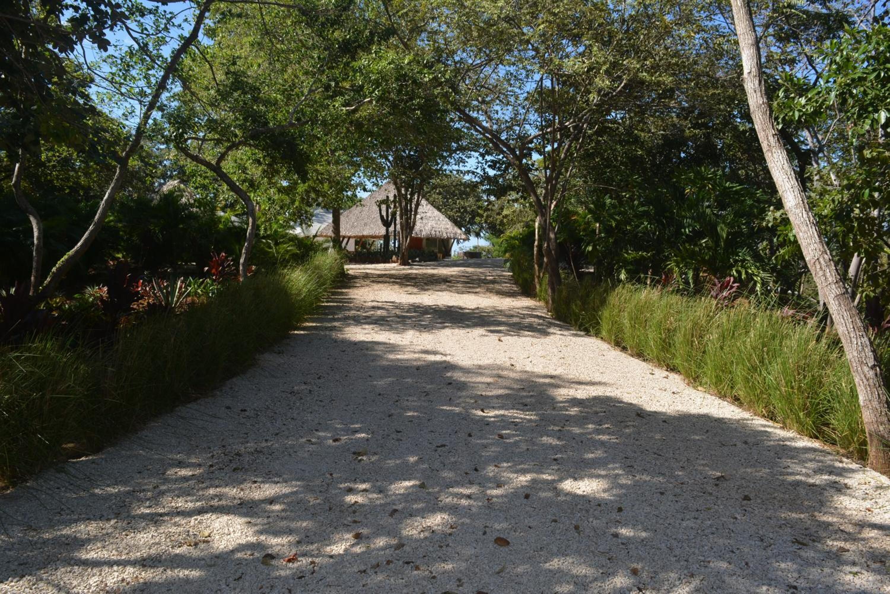 A gravel path leading to a thatched-roof building surrounded by trees.