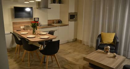 Agréable appartement avec terrasse plein centre