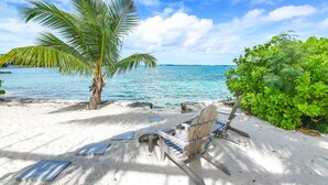 A beach with a wooden chair and a palm tree. - 11 steps to the Ocean  (George Town)