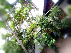 Standard Triple Room, Garden View