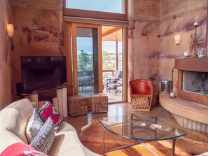 Smart TV, fireplace, books