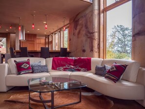 Smart TV, fireplace, books